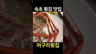 유료광고포함) 속초 횟집 맛집 머구리횟집 / 짱맛