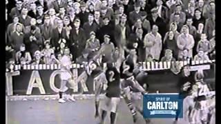 Dennis Munari - Carlton Football Club Past Player