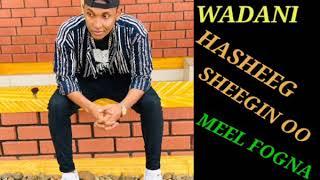 MHD WADANI HESS HASHEEG SHEEGIN COMING SOON 