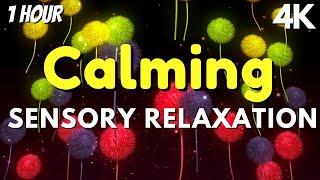 Best Sensory Music for Autism Sensory Visuals