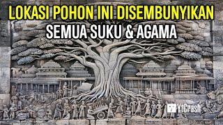 SATU-SATUNYA POHON YANG DISEMBUNYIKAN SEMUA AGAMA & SUKU BUDAYA SELURUH DUNIA INILAH POHON KEHIDUPAN