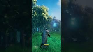 Valheim looks so good #gaming #valheim