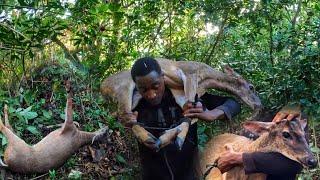 EPIC REINDEER HUNTING FOR THE FIRST TIME IN JAMAICA ONE BUCK DOWN