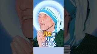 439. 기도를 사랑하십시오   #쇼츠  #가톨릭  #천주교  #성녀 마더 데레사 수녀님 말씀  #shorts