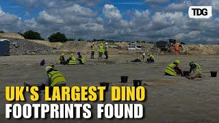 Unearthing Giants: UK's Largest Dinosaur Footprint Site Discovered