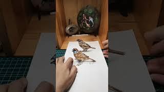 ️3d Drawing Birds | Creative Drawing Ideas—Catch This Bird️#shorts #3dart #3ddrawing