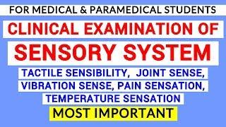 SENSORY SYSTEM EXAMINATION | CLINICAL LAB | PHYSIOLOGY