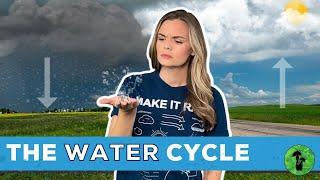 The Water Cycle | Earth Science