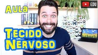 Tecido Nervoso - Histologia - Aula | Prof. Samuel Cunha