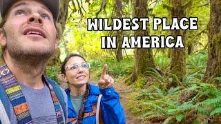 EXPLORING THE HOH RAINFOREST IN OLYMPIC NATIONAL PARK DURING THE PANDEMIC.
