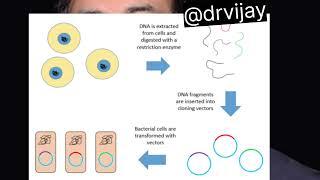 chromosome walking | @drvijay