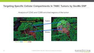 Morphology Driven High-Plex Spatial Analysis of Tissue Microenvironments