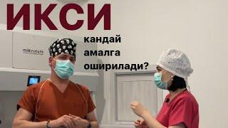 ИКСИ (эко): тухум хужайра ва уруг хужайра кандай уругланади?