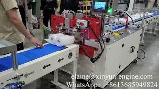 Low Price Two Rolls Kitchen Towel Paper Packing Machine