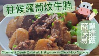 【英該Dim煮】柱候蘿蔔炆牛腩 | Stewed Beef Brisket and Radish in Chu Hou Sauce | 壓力煲 | Instant Pot Recipe |