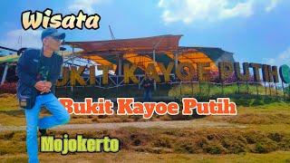 Wisata Bukit Kayoe Putih-Wisata Terbaru Mojokerto