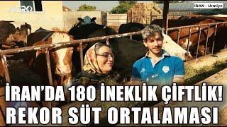 İran'da 180 İneklik Çiftlik! Simentalden Rekor Süt Ortalaması / Abi Nerdesin?