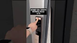 오늘은 내가 이겨따ㅋ_ㅋ #웰시코기 #분리불안