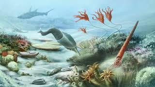 History of the Earth Part 2: Phanerozoic Eon – Paleozoic Era