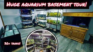 AQUARIUM HOBBYIST TURNS BASEMENT INTO HUGE FISHROOM! - 30+ TANKS & TONS OF RARE FISH SPECIES!