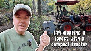 Clearing brush with the Kubota B2601 compact tractor and the Baumalight MP348 brush mulcher! #253 4k