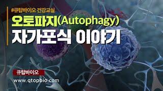 [건강상식] 오토파지(Autophagy), 자가포식 이야기