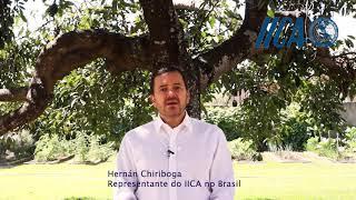 Dia do Agricultor: IICA Brasil faz homenagem