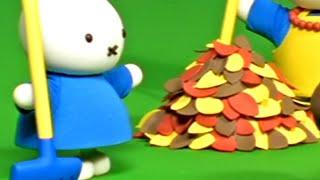 Miffy Und Die Fallenden Blätter | Miffy | Folge Kompilation