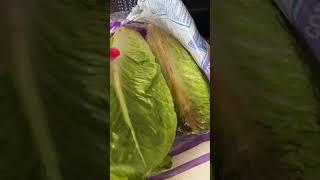 ROTTIN LETTUCE THROUGH @WALMART PICK UP 