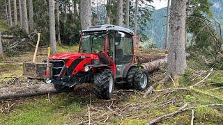 Windwurf aufarbeiten mit Carraro