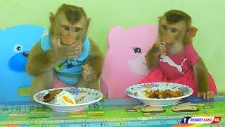 Obedient Animals, Cuties Baby LUNA And KAKO Enjoying Rice For Lunch Time