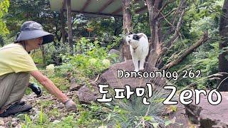 Korean summer rural life vlog 262) Dopamine Zero Life