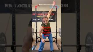 Unlock Your Shoulders: Scapula Mobility Drills