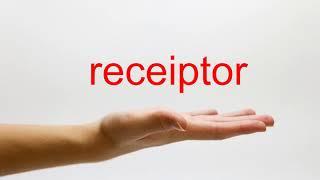 How to Pronounce receiptor - American English