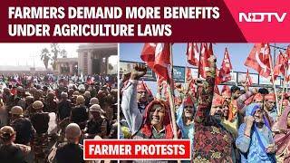 Farmers Protest Delhi Border | Farmers Demand More Benefits Under Agriculture Laws