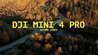 DJI Mini 4 Pro | Autumn Vibes | Sigulda