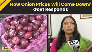 Onion Price Hike News: When Will Onion Prices Come Down? Here's What Government Officials Say