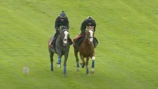 Betfred Derby 2025: contenders go through paces at Epsom | Racing TV