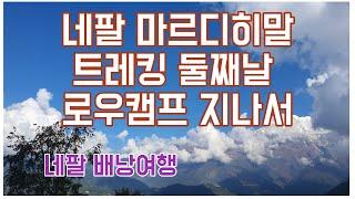 [네팔 트레킹5편] 네팔 마르디히말 트레킹 둘째날 - 로우캠프 지나 하이캠프로