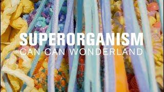 Superorganism (MicroShow for The Current)