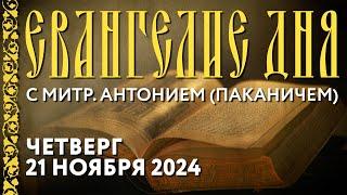 Толкование Евангелия с митр. Антонием (Паканичем). Четверг, 21 ноября 2024 года.