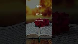 تلاوت قرآن کریم️️