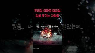 흔한 렉스턴 차주의 퇴근길풍경 블랙박스로 본 겨울세상 #렉스턴#렉스턴써밋#폭설#눈길#사륜구동