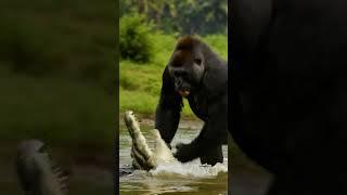 Wild Showdown: Gorilla vs Crocodile! #AnimalFight