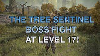 ELDEN RING™ Level 17 Vs The Tree Sentinel Boss Fight (PS4) Day 1