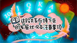 【绿野仙占】塔罗占卜🪄 这段关系在接下来的发展状况及注意事项 ʚ️ɞ ༄