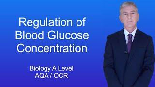 A Level Biology Revision (Year 13) "The Regulation of Blood Glucose Concentration"