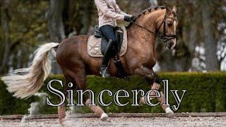 Sincerely || Dressage Music Video ||