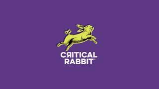 We are Critical Rabbit