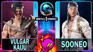 MK1 Vulgar Kaiju (HAVIK) VS Sooneo (LIU KANG) Mortal Kombat 14K 60ᶠᵖˢ